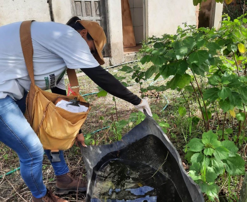 Mutirões de combate ao Aedes aegypti em abril resultaram em 6.216 imóveis visitados