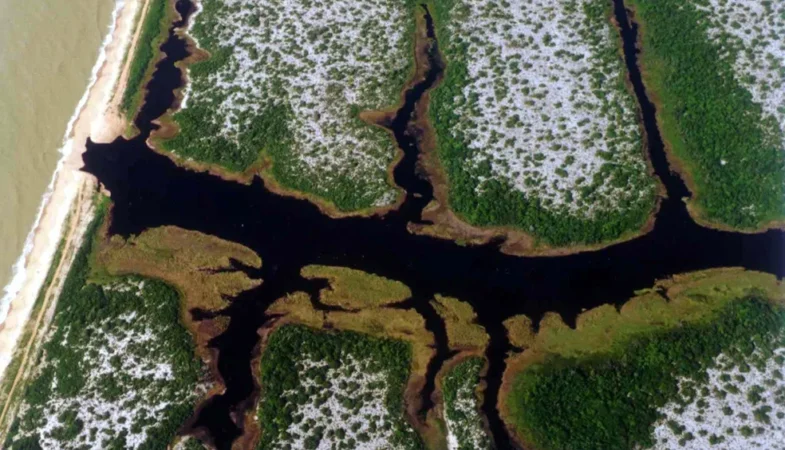 Festival Fotográfico ‘Naturezas de Quissamã’ está com inscrições abertas