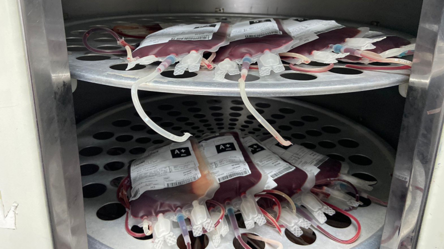 Hemocentro Regional convoca doadores para fortalecer o estoque de sangue