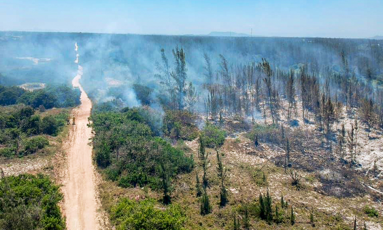 Fogo atinge parque natural em Arraial do Cabo