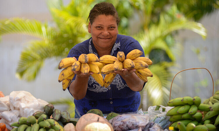 Agricultura de Campos vai apoiar produtores em venda de alimentos para IFF