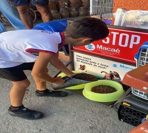 Projeto vai garantir água e ração a cães de rua em Macaé