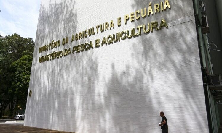 Ministério da Pesca e Aquicultura terá concurso para 264 temporários