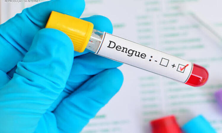 Os mais de 70 mil casos de dengue assustam população fluminense