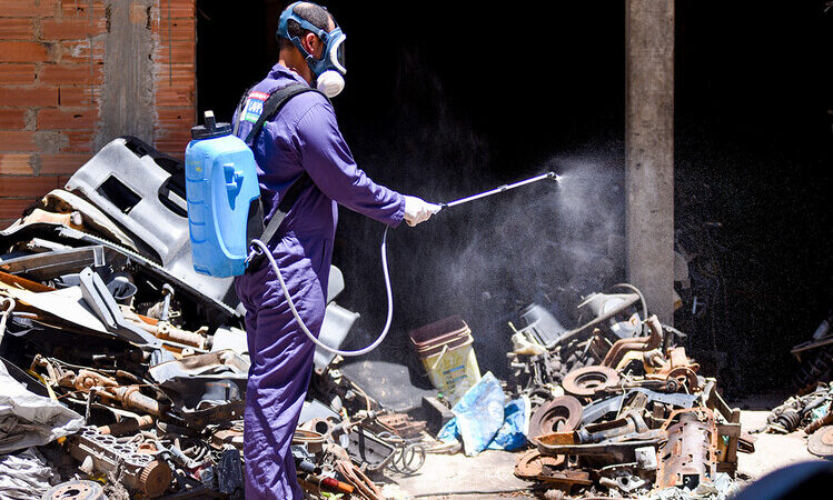 Após vê falhas na prevenção a dengue, Defensoria cobra medidas a 83 cidades