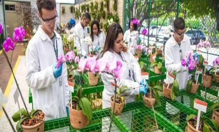 Programa Jovem Aprendiz da Petrobras abre mais de 1 mil vagas