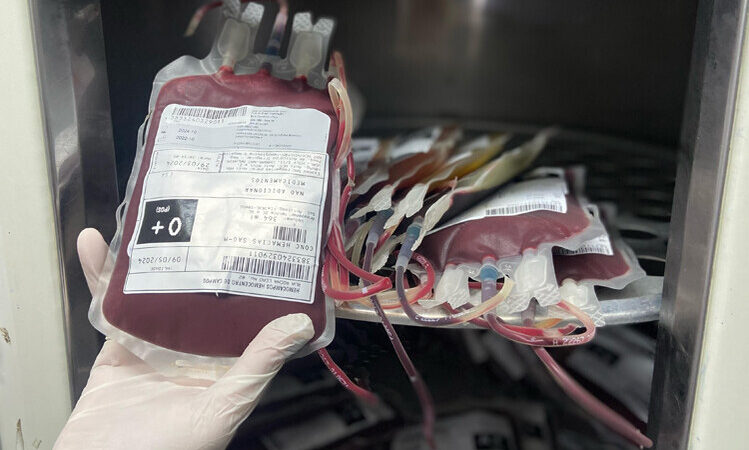 Hemocentro de Campos precisa de sangue O+