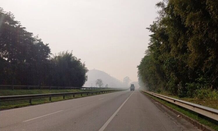 Concessionária alerta sobre riscos de incêndio em vegetação na BR-101 que registrou 63 focos