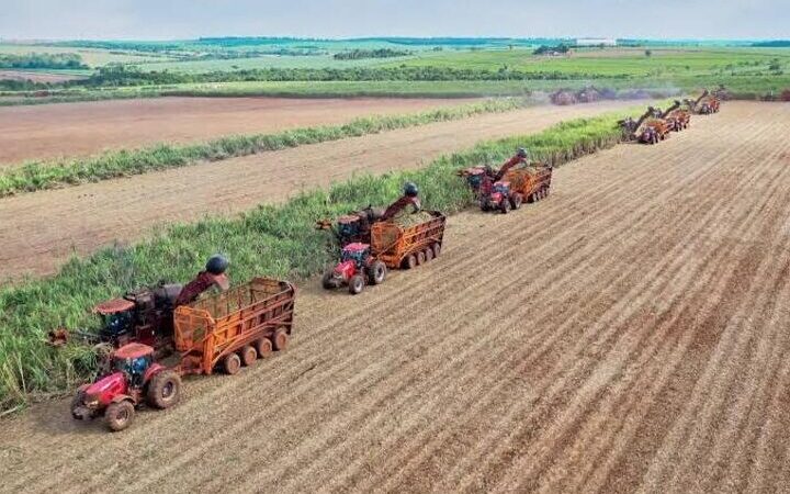 Mudanças climáticas podem reduzir produção de cana em 20%, aponta estudo