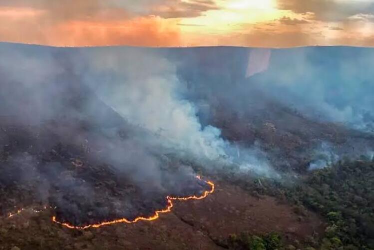 MP cobra respostas sobre incêndios florestais em três cidades do Norte Fluminense