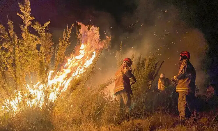 Bombeiros do Rio combatem 460 focos de incêndio em 24h, Campos entre as cidades mais atingidas