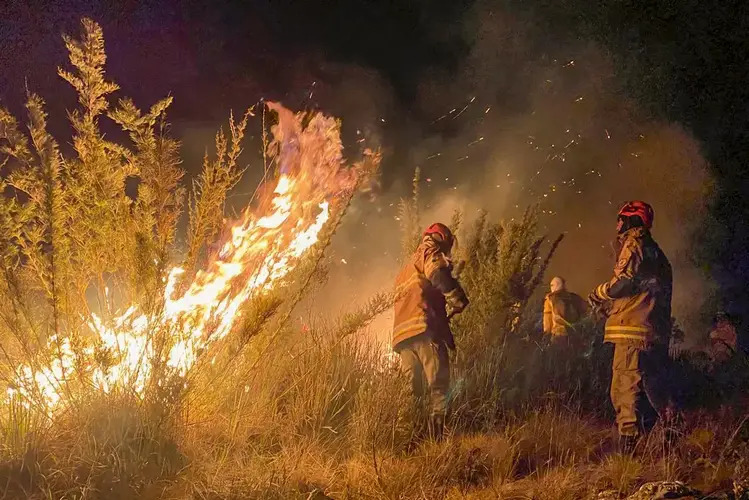 Bombeiros do Rio combatem 460 focos de incêndio em 24h, Campos entre as cidades mais atingidas