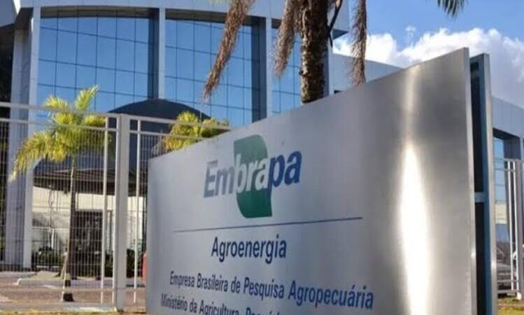 Publicado edital de concurso da Embrapa com 1.027 vagas e salário de até R$12,8 mil