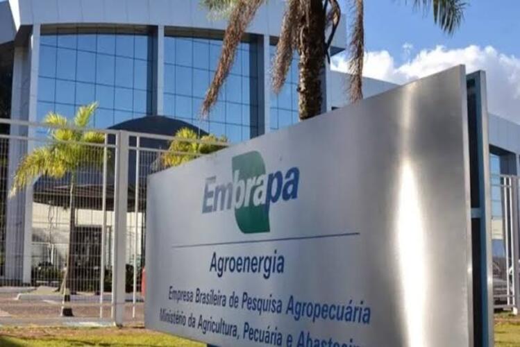 Publicado edital de concurso da Embrapa com 1.027 vagas e salário de até R$12,8 mil