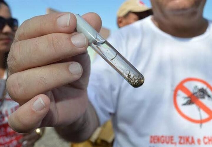 SJB anuncia locais dos sete mutirões contra a Dengue
