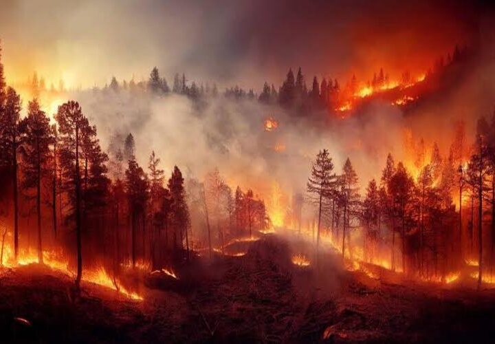 Mais de 500 incêndios combatidos pelos Bombeiros no estado do RJ esta semana