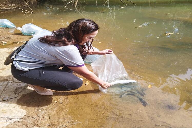 Colônia de Pescadores em São Fidélis fará soltura de alevinos de espécies ameaçadas