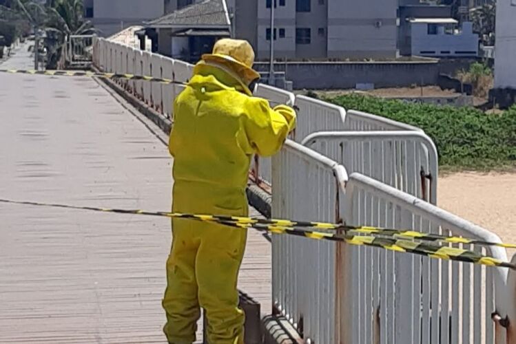Enxame de abelhas leva Defesa Civil a fechar Pier de Costazul, em Rio das Ostras