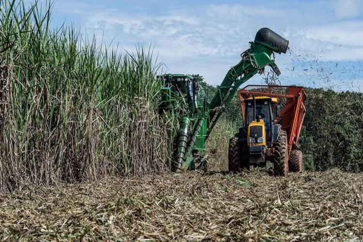 Aberta oficialmente em Campos a safra 2025 da cana-de-açúcar