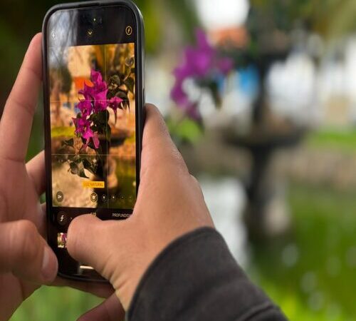 Abertas inscrições ao 1º Concurso de Fotografias da Flora e Fauna fidelenses