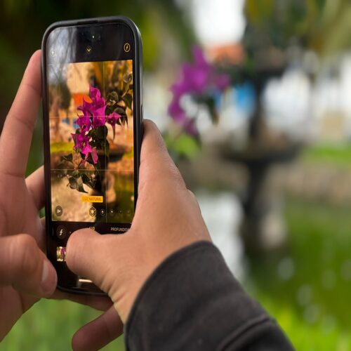Abertas inscrições ao 1º Concurso de Fotografias da Flora e Fauna fidelenses