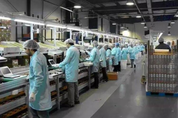 Norte Fluminense gera mais de 1.600 empregos em abril