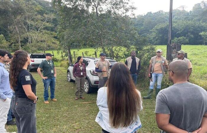 Micos-leões-dourados resgatados do tráfico são soltos em Silva Jardim