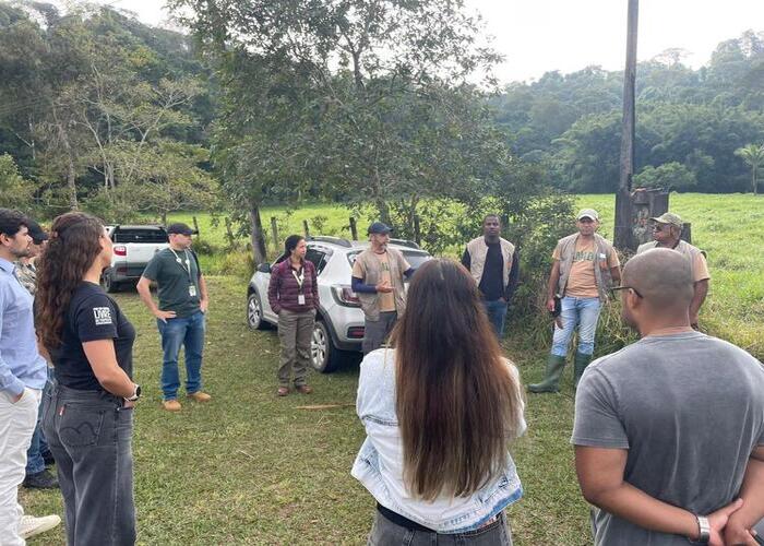 Micos-leões-dourados resgatados do tráfico são soltos em Silva Jardim