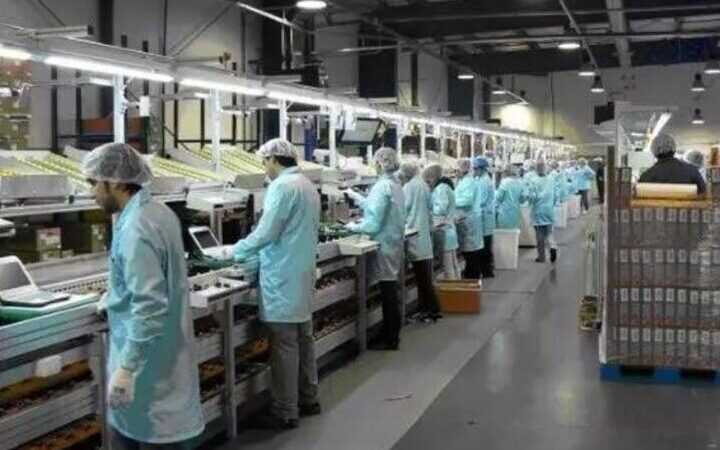Norte Fluminense gera mais de 10 mil empregos no primeiro semestre