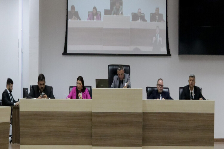 Vereadores de Macaé formam comitiva para participar da COP30