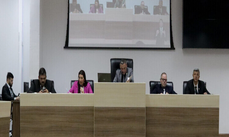 Vereadores de Macaé formam comitiva para participar da COP30