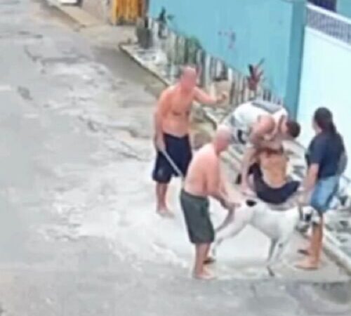 Mais um ataque de cachorro em Campos, dessa vez a vítima foi uma mulher