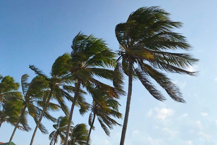 Nova previsão de ventos fortes para o Estado do Rio de Janeiro