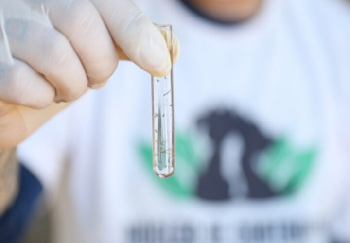 Dengue: 4º LIRAa foi de baixo risco em São João da Barra