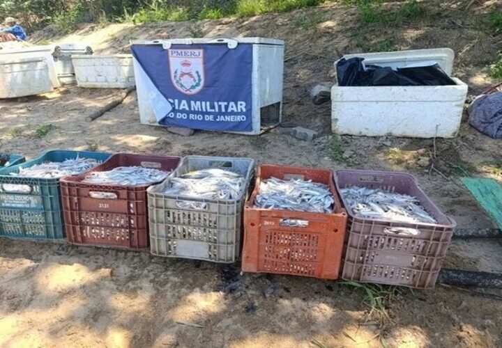 Quatro pescadores detidos por pesca proibida em São Fidélis