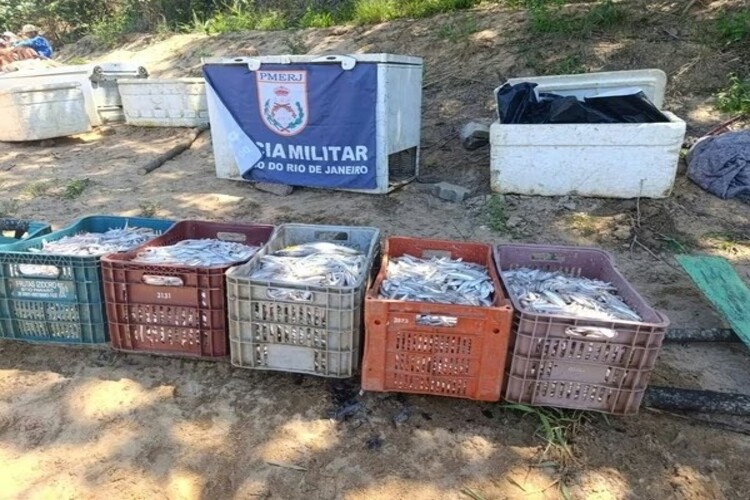 Quatro pescadores detidos por pesca proibida em São Fidélis