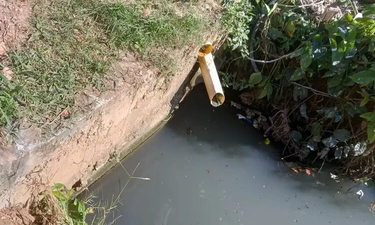 Quilombo em Cabo Frio denuncia despejo de esgoto na comunidade