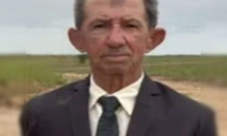 Idoso morre em SFI após ser atacado por um enxame de abelhas