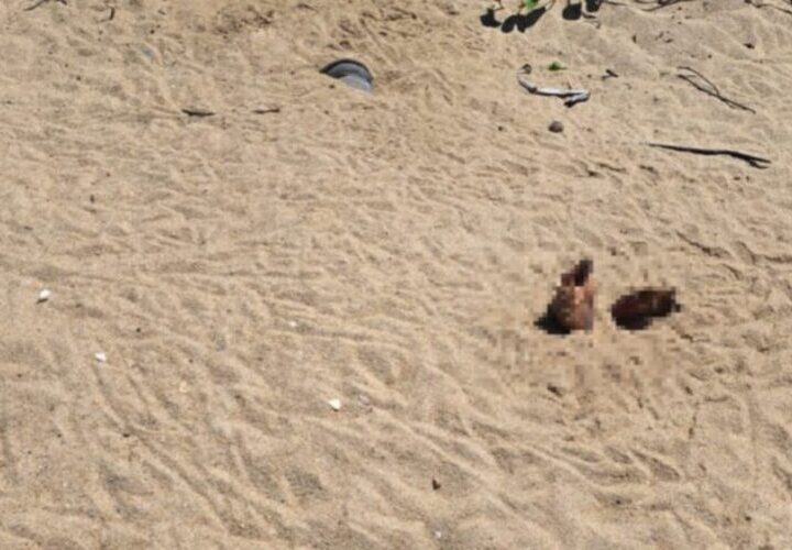 Corpo de um homem é encontrado enterrado em praia de Campos