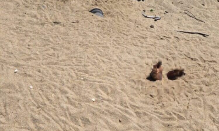 Corpo de um homem é encontrado enterrado em praia de Campos