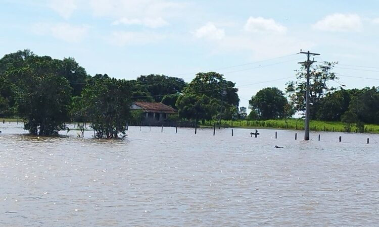 Trecho da RJ-196 é interditado em SFI devido o aumento do nível do Rio Paraíba
