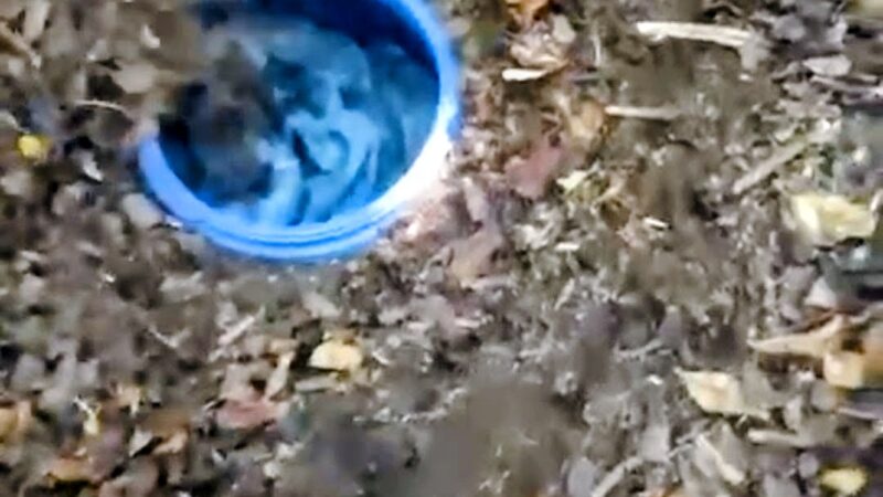 Polícia apreende um tonel com drogas em Campos