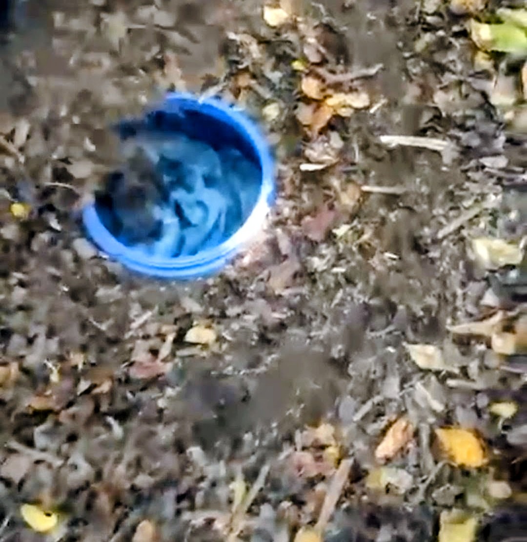 Polícia apreende um tonel com drogas em Campos